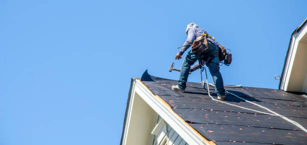 Best Roof Gutter Cleaning  in Morrow, OH